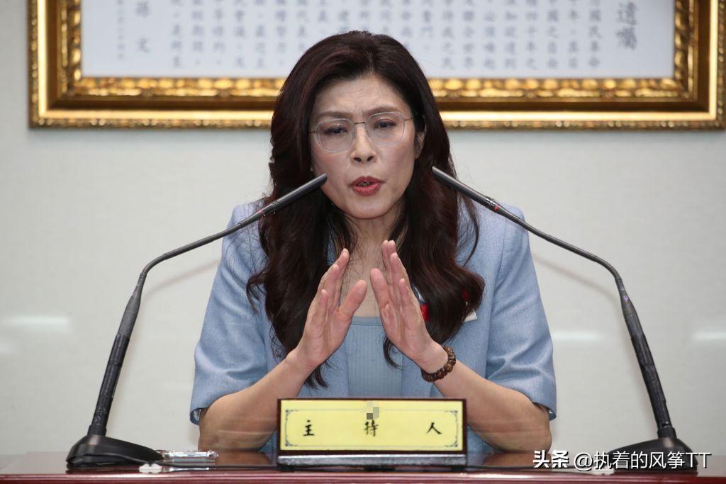 台湾岛内以郑丽文为代表的政客妄言:“要用欧盟模式和‘东、西’德模式解决台湾问题”