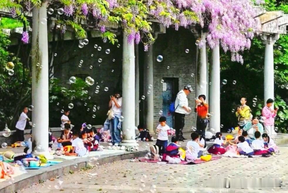 童趣

春日公园，紫藤垂落如瀑，满目皆是盎然绿意。一群参加春游的孩子，在老师的引