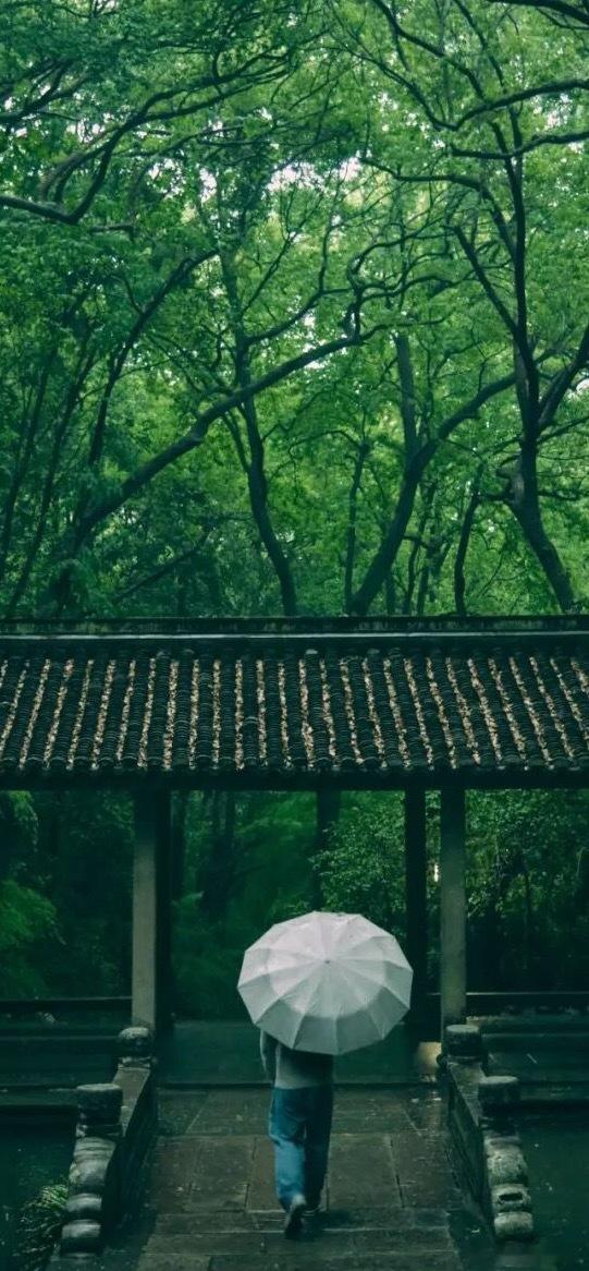 《感世行》草生草长草还歇，人来人去人终别。春风拂野草重青，岁月流年人未谒。花开艳