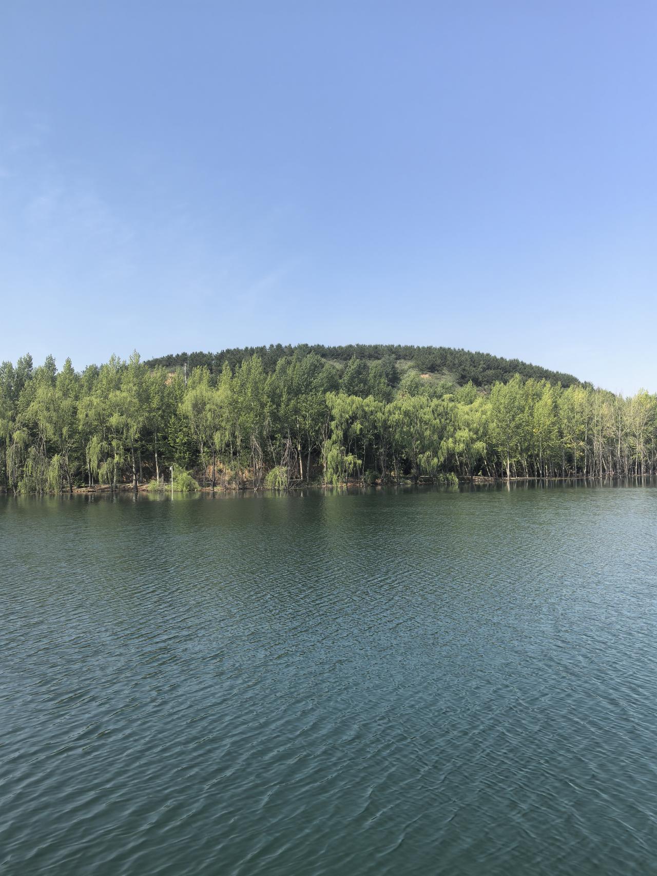 湖光潋滟映山色，绿树成荫入画来。