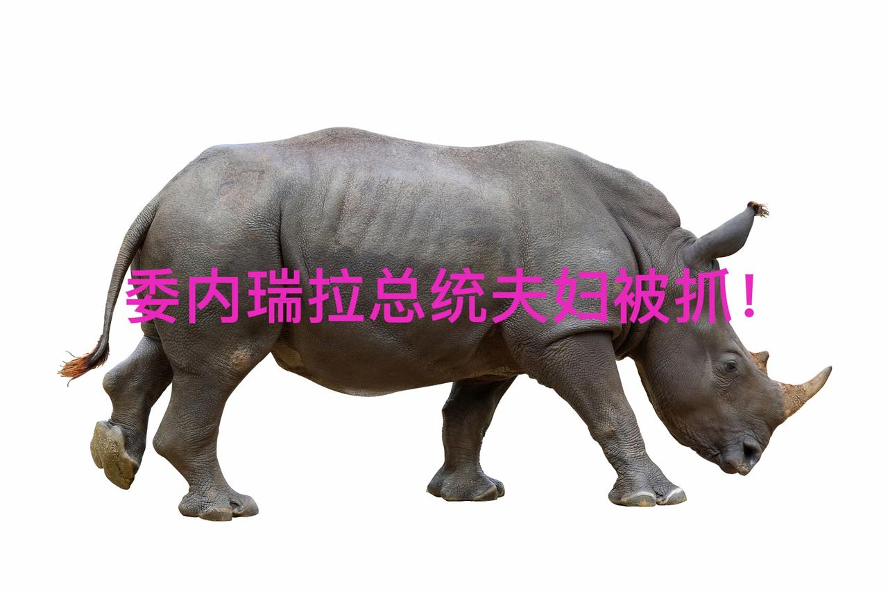 【2026年第一只“灰犀牛”！美军酝酿很久之后，空袭委内瑞拉并抓获总统马杜罗夫妇