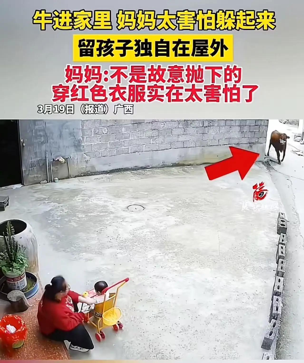 世间有一种爱，口头上是千般指责，行动上却藏着极度的脆弱。 近日，“公牛突袭，母亲