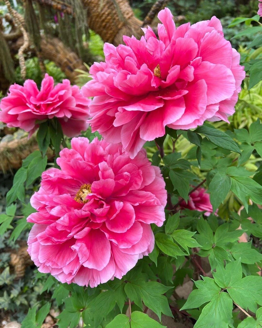 春暖花开，周末踏青好季节～ 