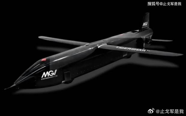 看着不错！搜狐新闻:【具有里程碑意义！欧洲“虎鲨”无人深击平台成功完成首飞 - 