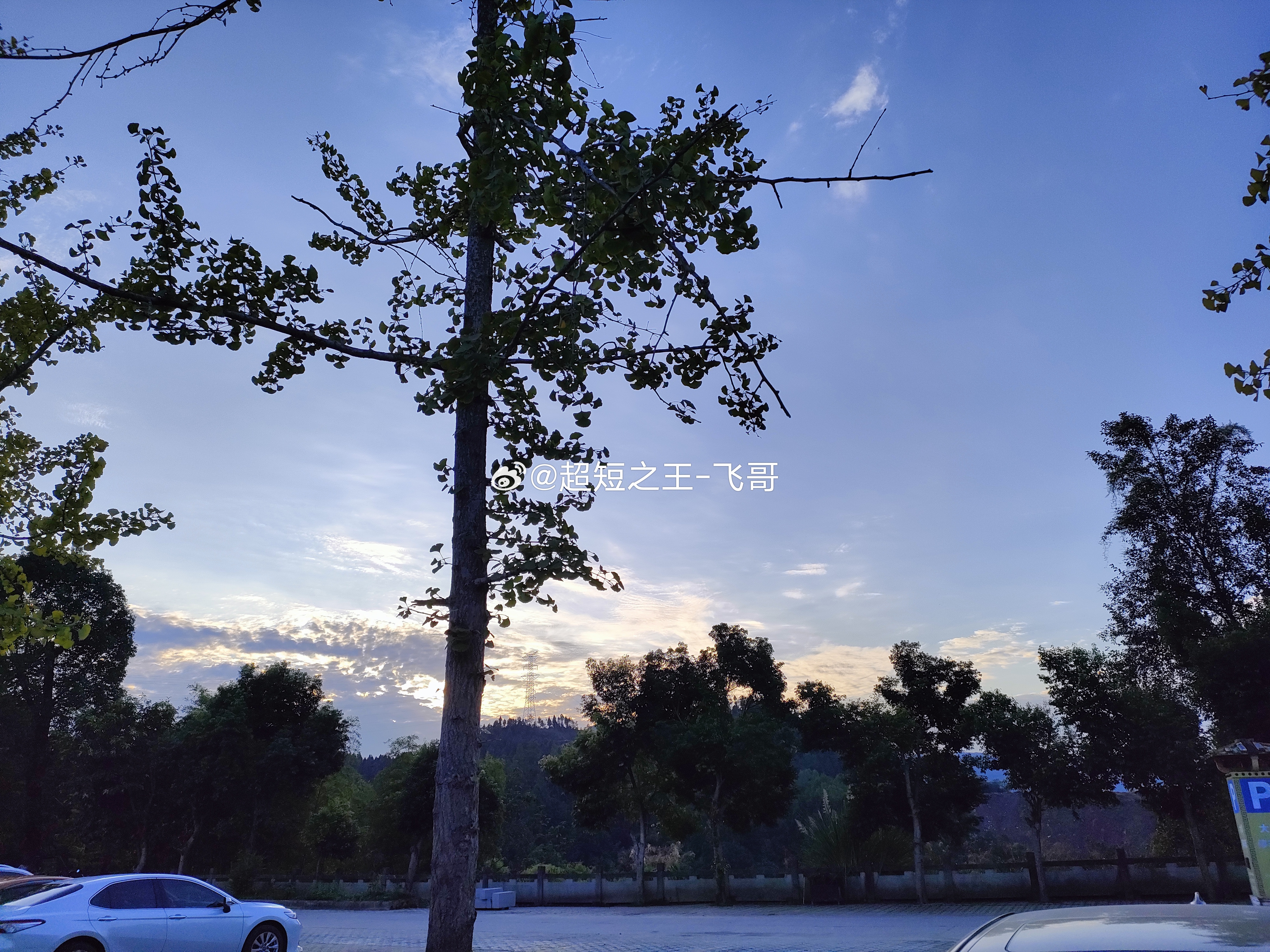 飞哥午盘小结（6.11）兄弟们，午盘收了，简单说两句，别慌、别乱、别重仓！一、大