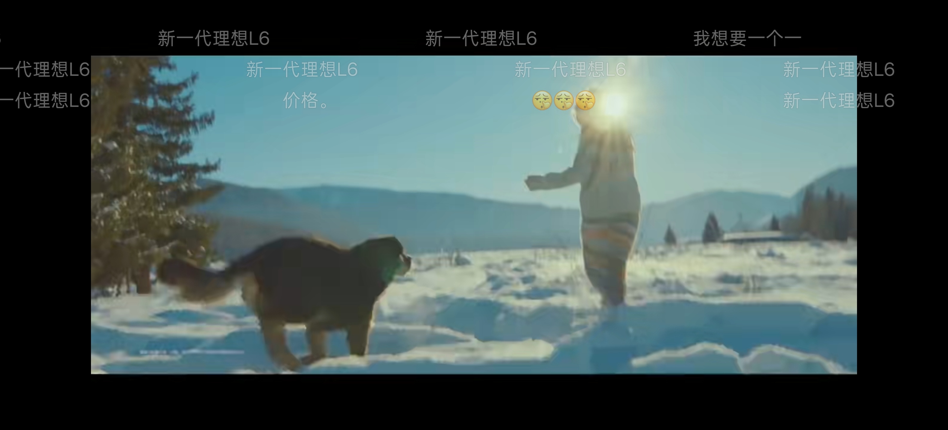 今天还有一场全新理想 L6 的上市发布会，其实我觉得对于 L6 这样的车，不用开