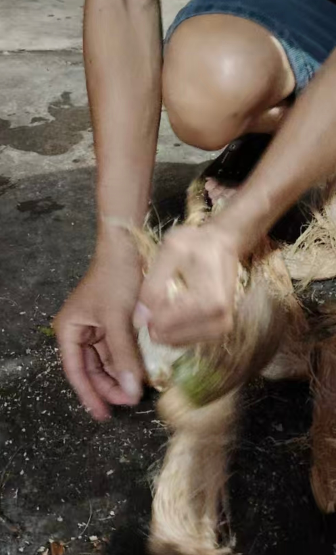 明天中秋你准备怎么过解锁徒手开椰子➕单手钓🦀🦀🦀  ​​​