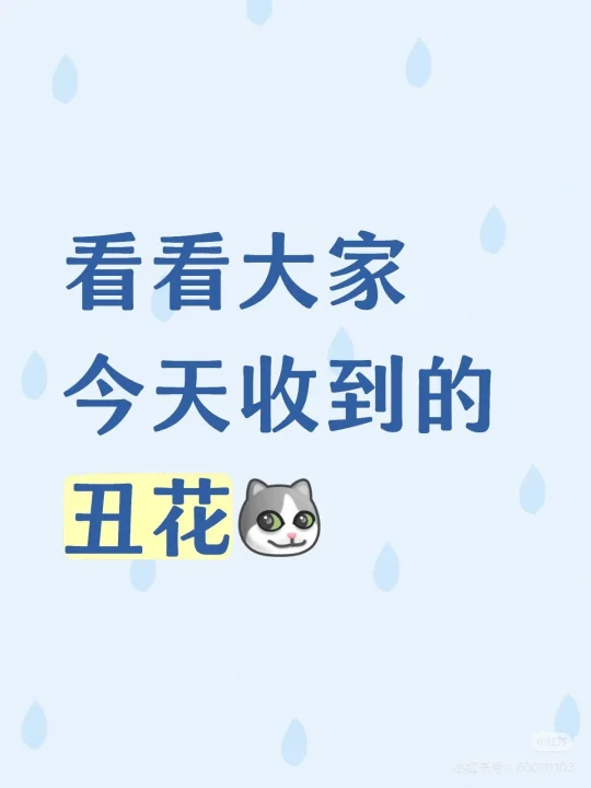 看看大家昨天七夕收到的丑花🙈