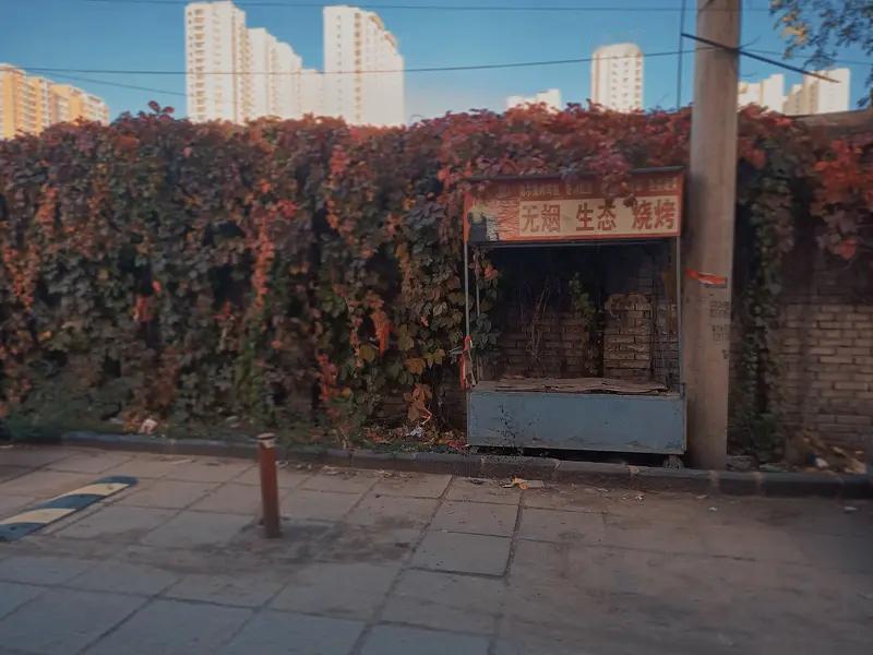 浮世砚友说得妙，人若能这般生活该多惬意，既不刻意逢迎，也不刻意回避，稳稳地把控自