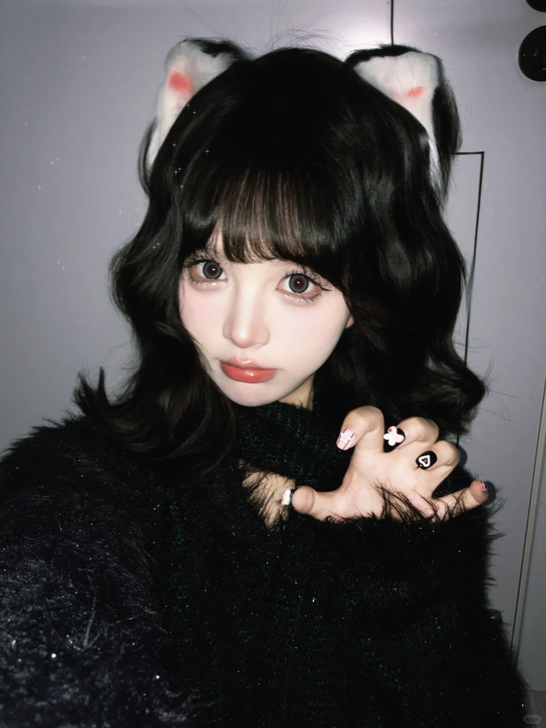 🐈‍⬛‧₊˚⋆☆₊⁺🦴🐾