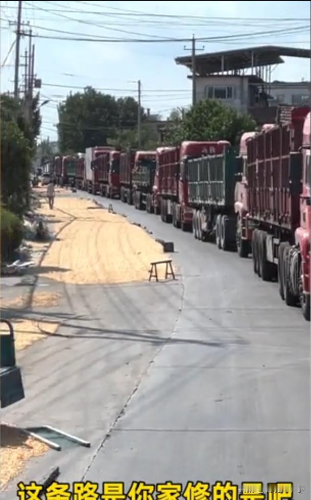 山东济南，男子开货车路过一村庄时发现道路上被村民占用晒粮食，甚至还设置障碍阻拦，