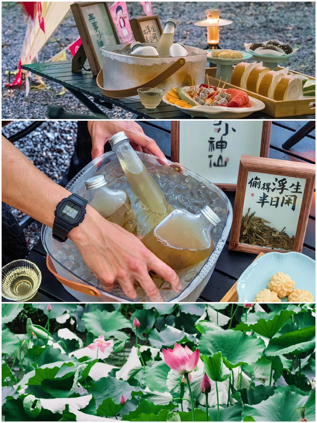 上海荷园丨露营拍照解锁一场夏日的旷野之梦