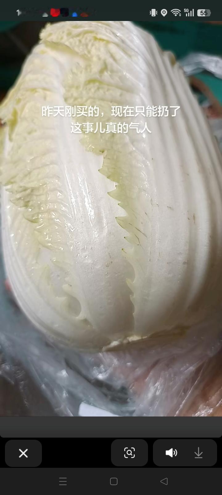 看了白菜事件的新闻，昨天买的白菜只能扔了！
         我有个疑问：会不会