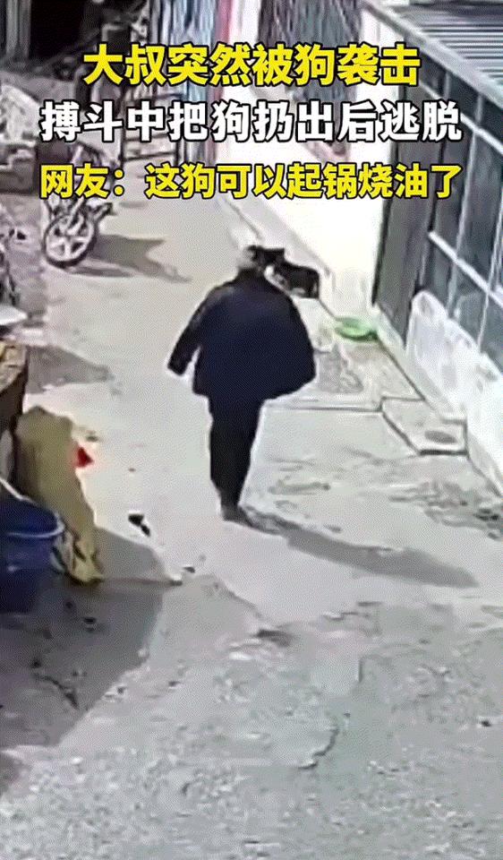 小作文！[白眼]
请欣赏，《人狗大战》！

这是农村小院，一名男子不紧不慢的朝房