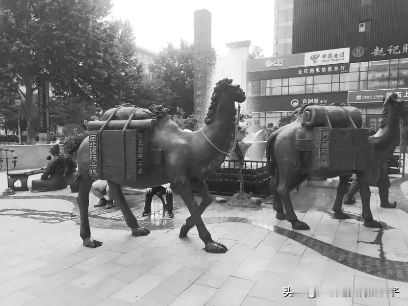 “男子牵马乘坐西安地铁”不实 最近网上流传“男子牵马乘坐西安地铁”的视频，可这竟