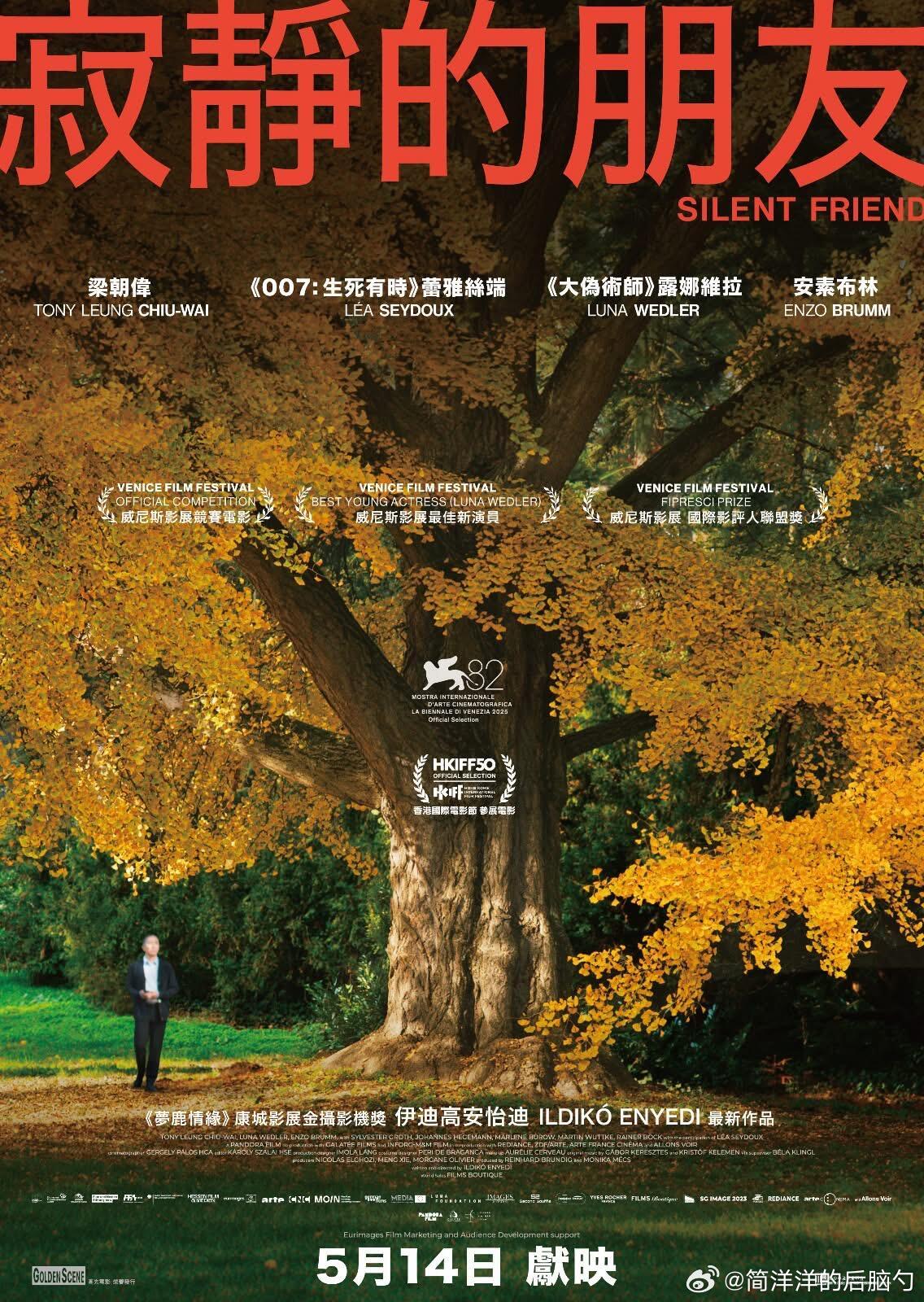 茵叶蒂导演、梁朝伟主演《寂静的朋友》香港上映海报，一颗巨大的、安静的树 
