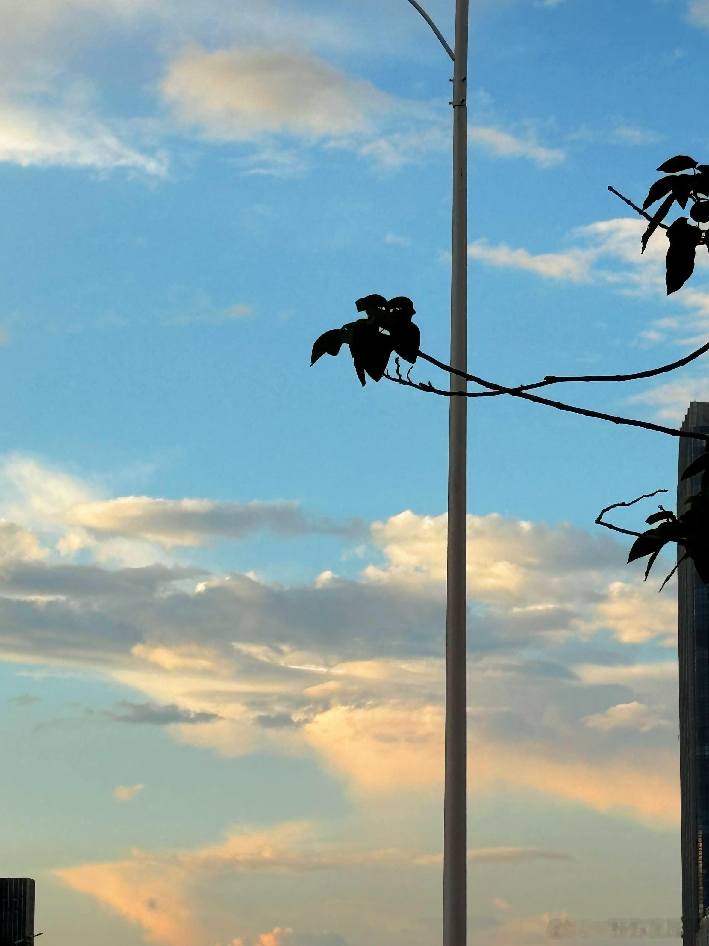 降温碎片🧩🫶🏻 ​​​