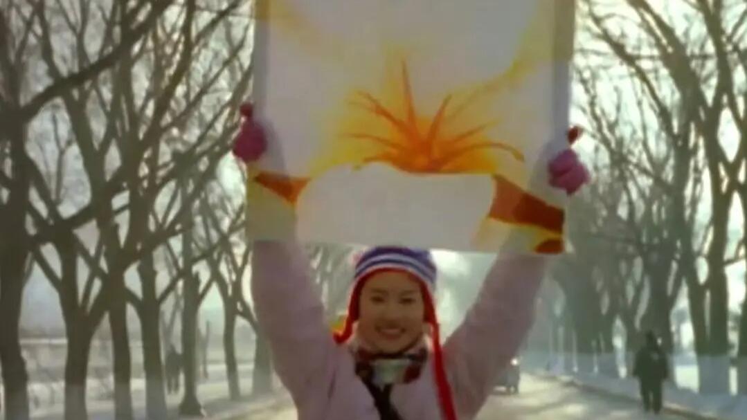 哈尔滨文旅回复刘亦菲 哈尔滨文旅邀刘亦菲，共赴冰雪绮梦之旅在社交媒体的聚光灯下，