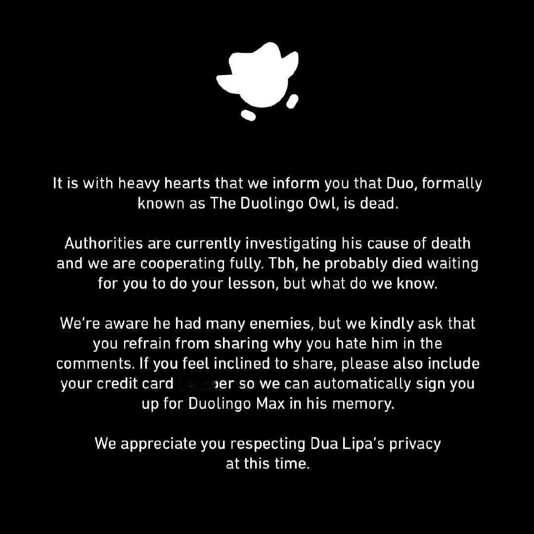 多邻国猫头鹰去世 多邻国官推：我们怀着悲痛的心情通知您,Duo(正式名称为“多邻