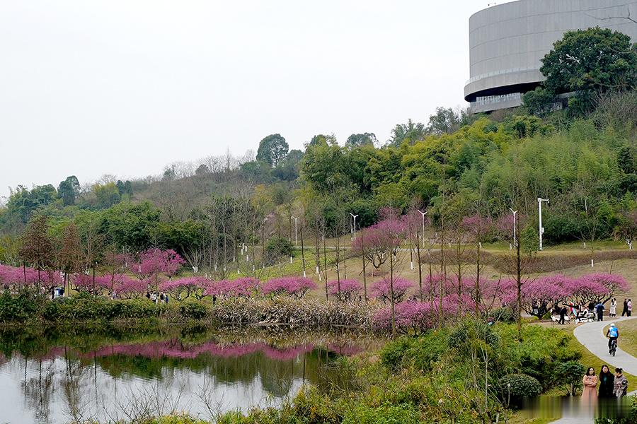 一年四季  美好事物要分享  安利一个徒步、骑行和洗肺的好地方——明月湖公园。人