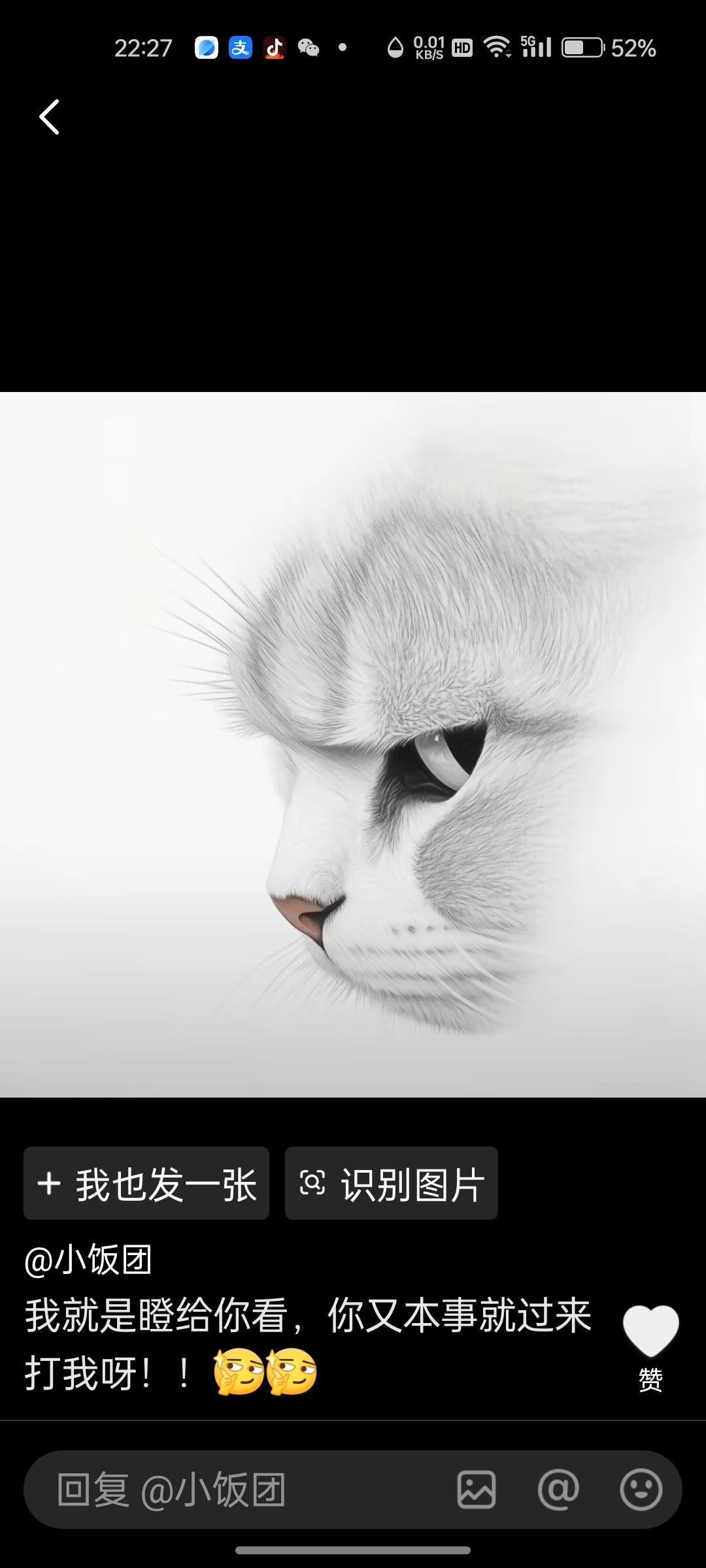 惨不忍睹！！！