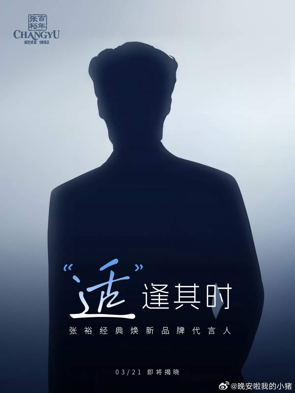 于适张裕品牌焕新代言人预告海报，百年葡萄酒