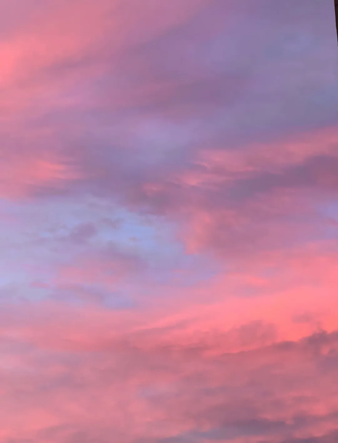 粉色晚霞云 夏天晚霞与天空