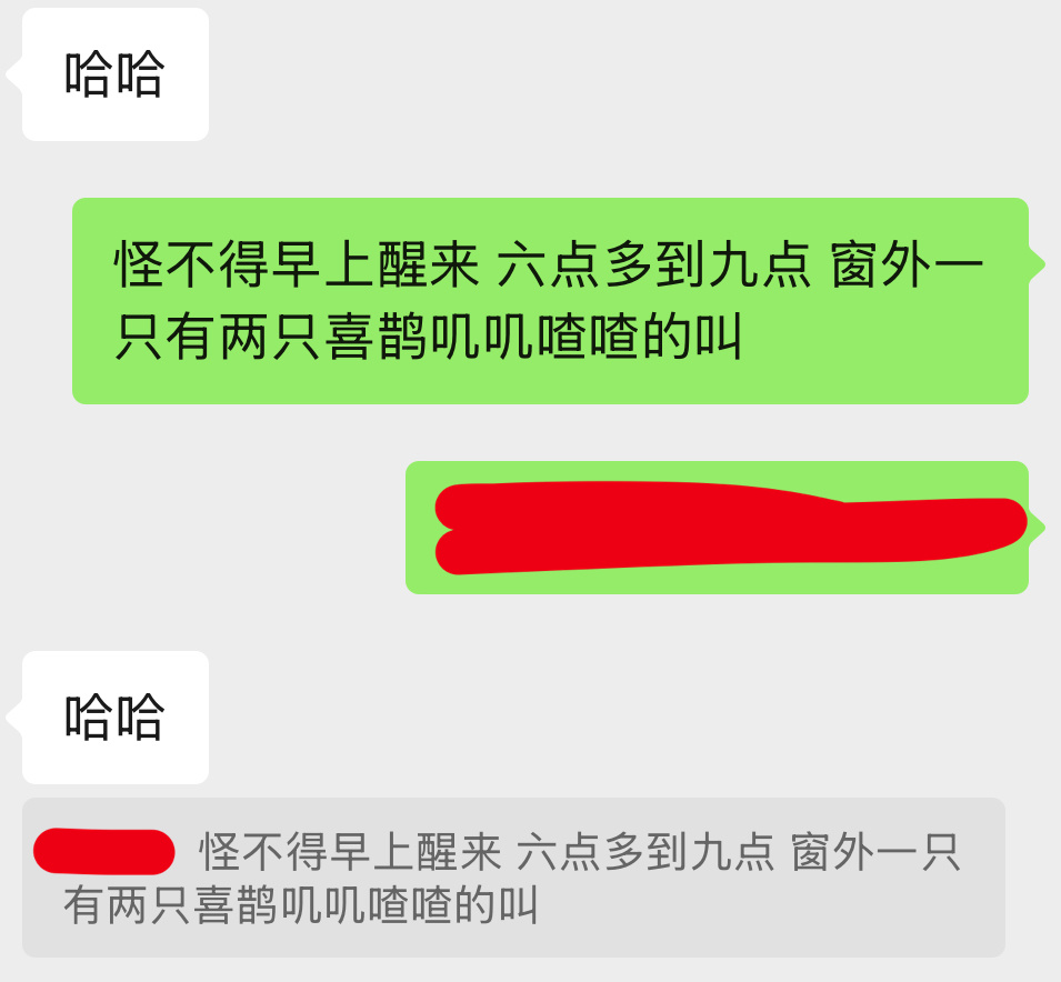 怪不得早上醒来 六点多到九点 窗外一直有两只喜鹊叽叽喳喳的叫个不停。原来是我要搬