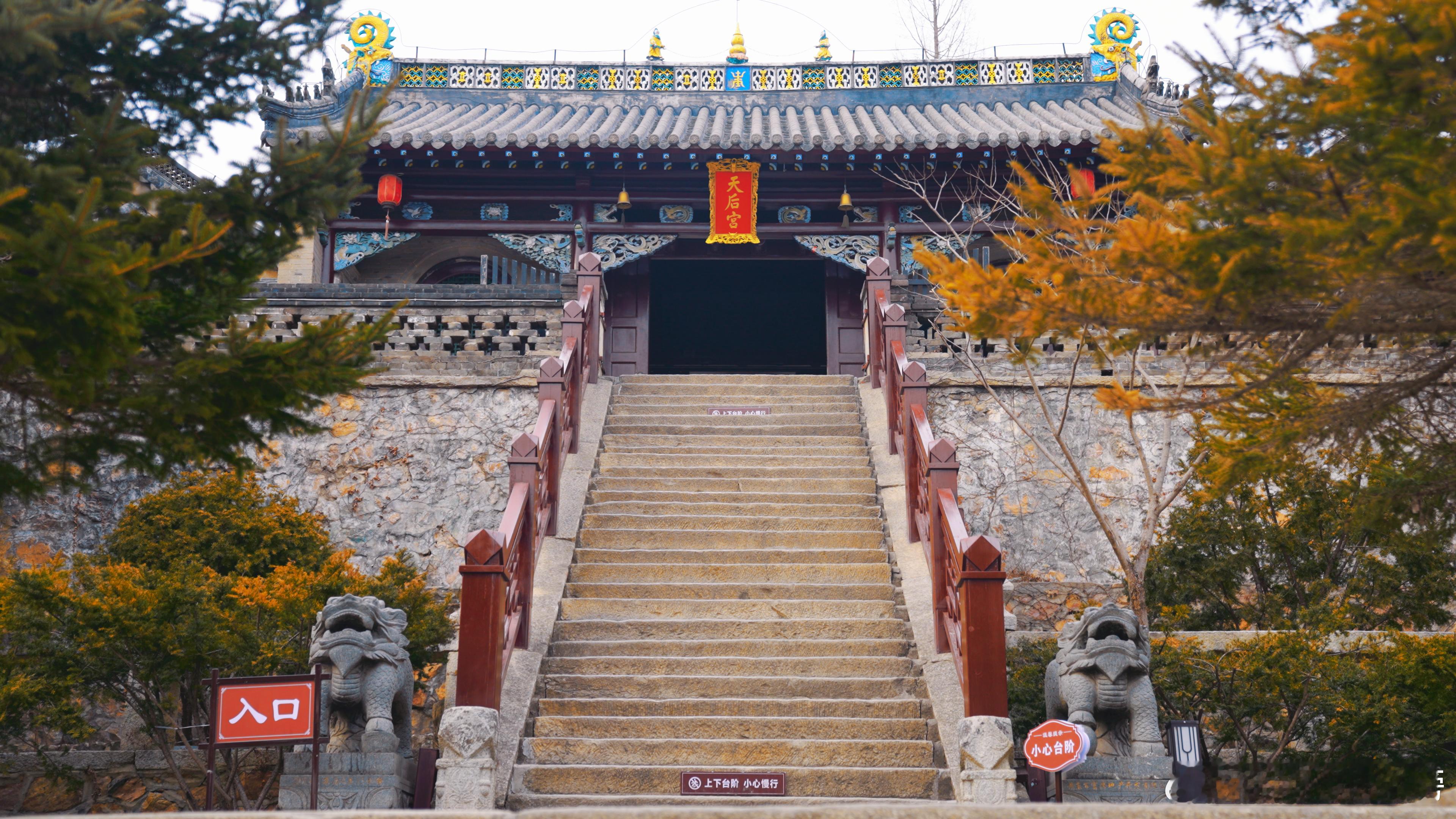 这个时间点的杏梅，总带着一点“刚刚好”的意味。大孤山的春天也是这样，从山脚的花开