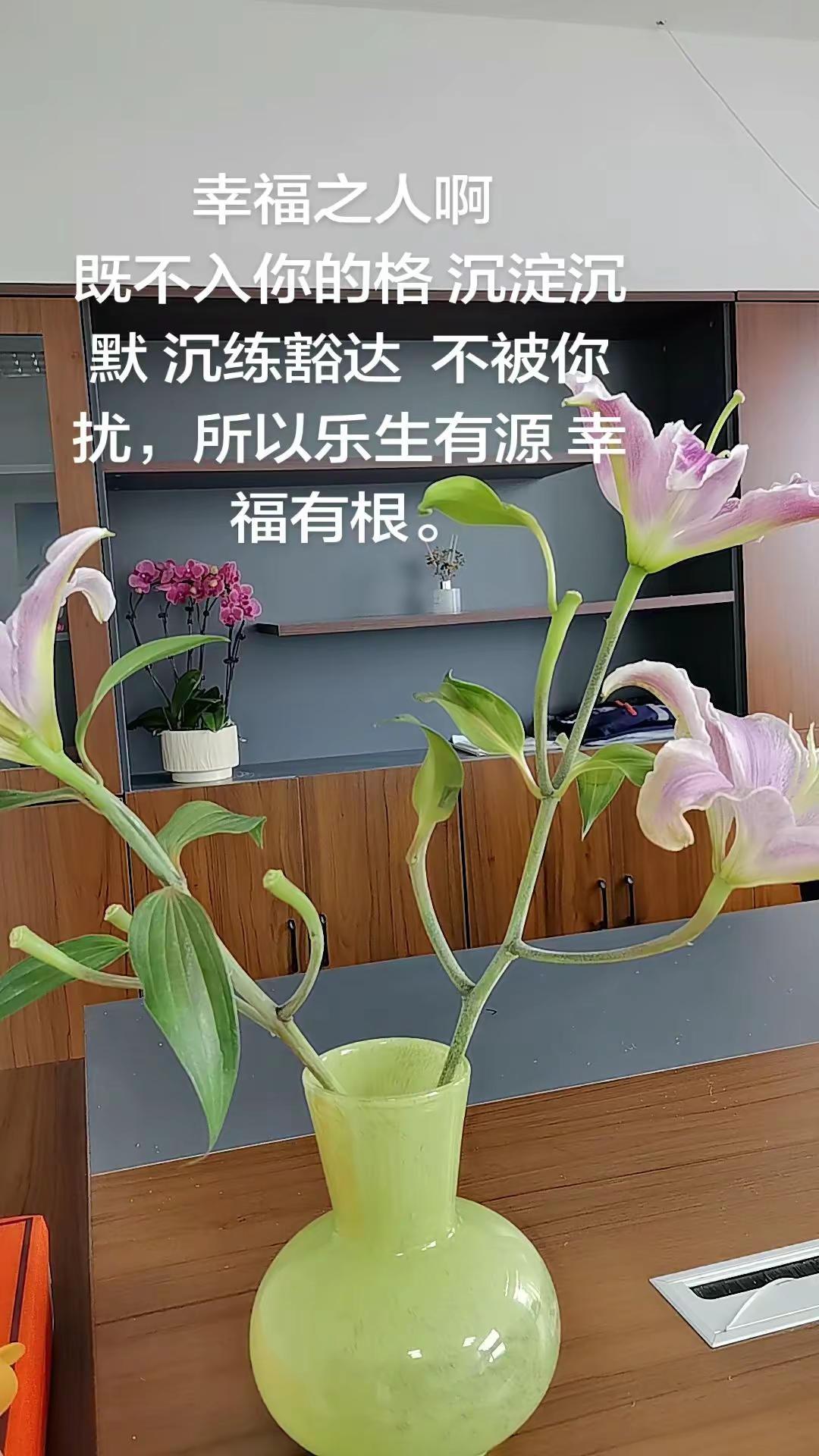 人生意义 就如此好