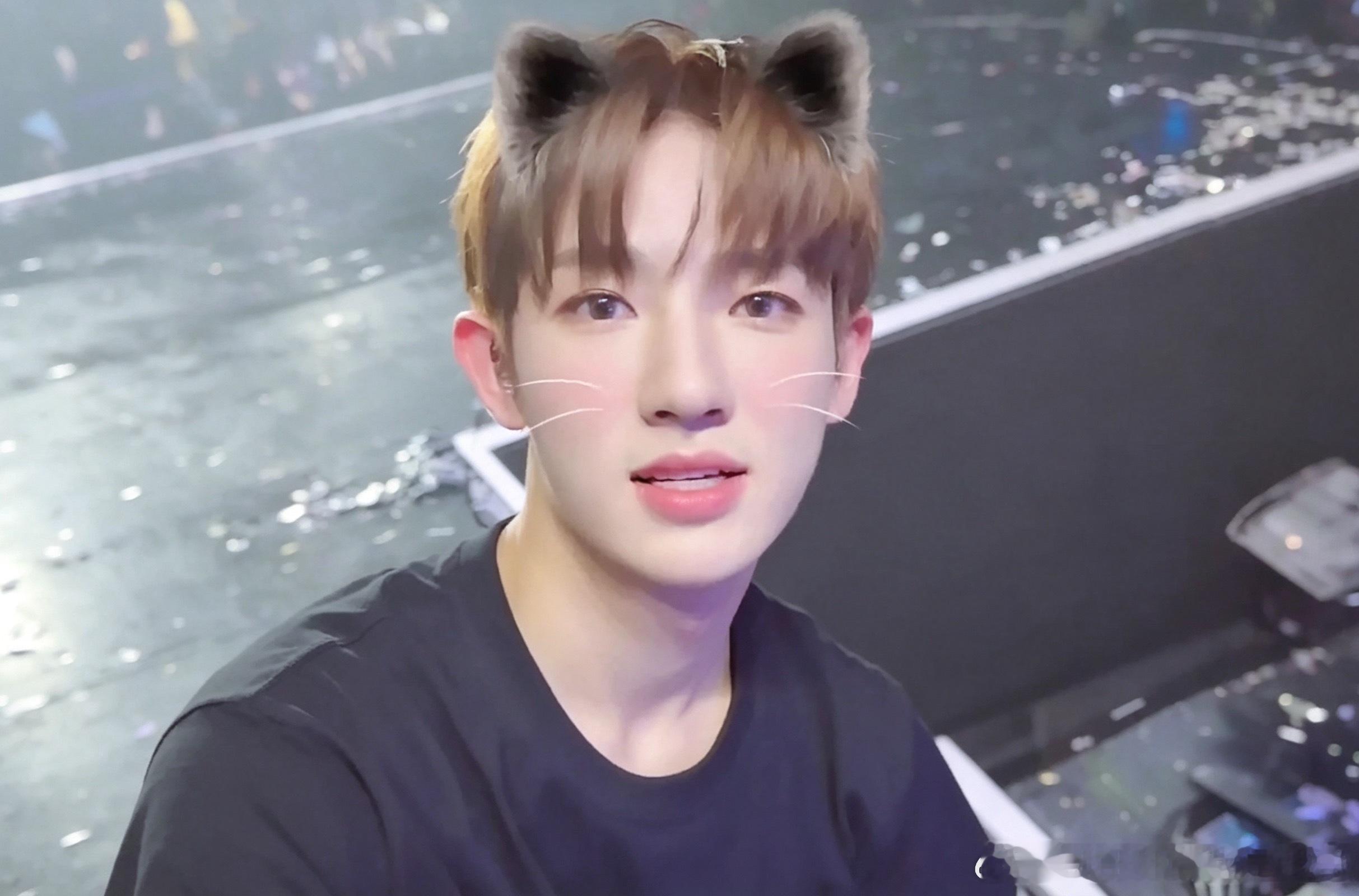 朴时宇  建设猫塑 