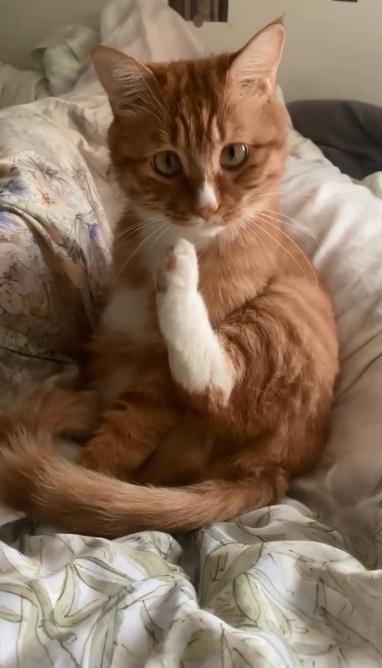我尊的会点三脚猫功夫喔. ​​​
