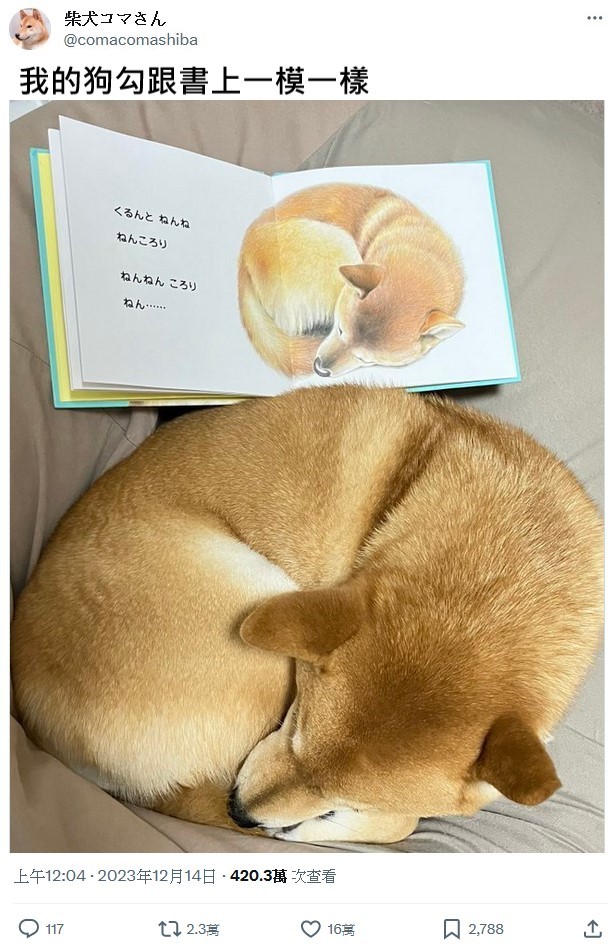 完全一致[doge] ​​​