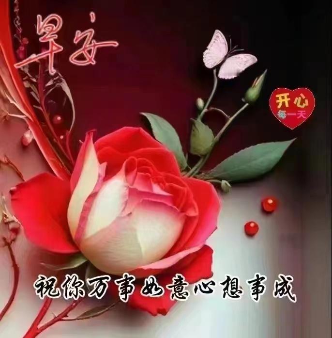 2025-11-28，星期五 ，晴，12-22°C做好当下，不要预知明天的烦恼。