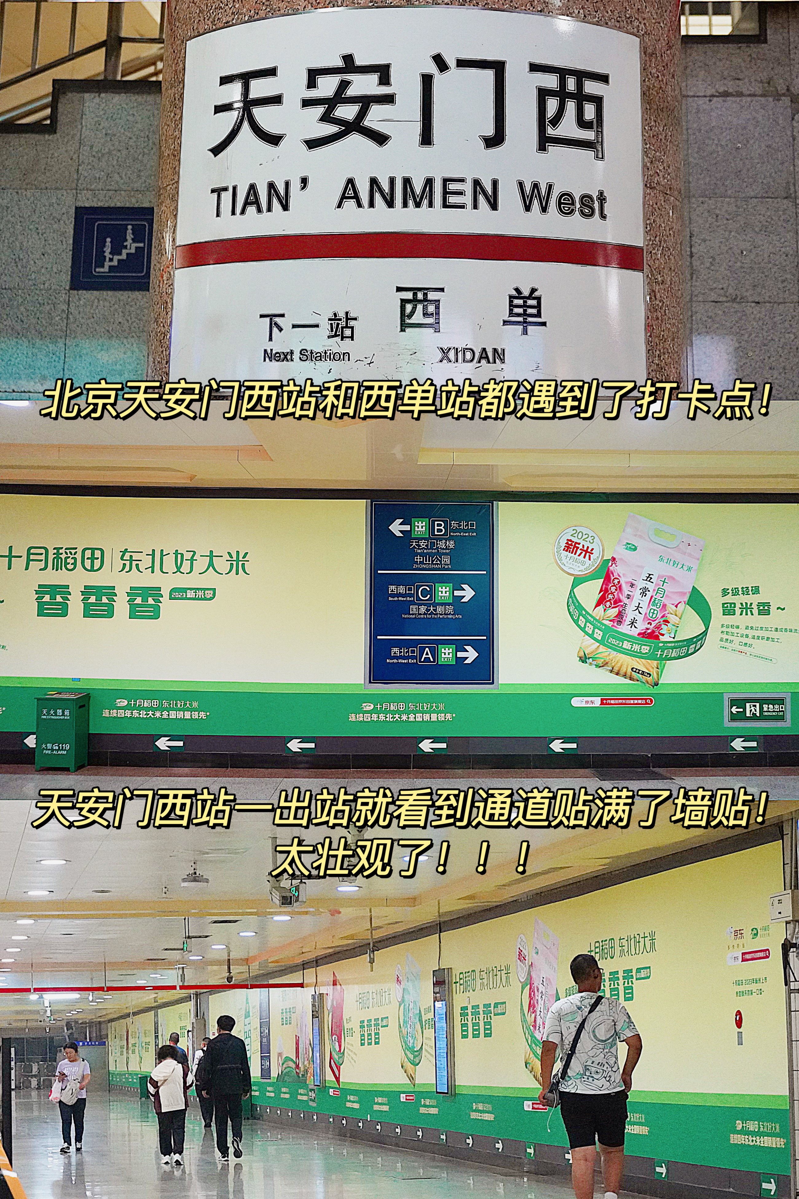 #央视网超级工厂探秘十月稻田#在北京坐地铁🚇竟然也能体验到亲近自然的感觉？！[