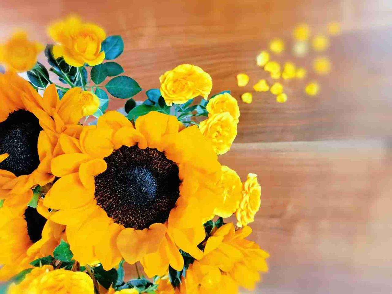 我的今日状态：💰期待暴富
我这里的天气：☀️晴天