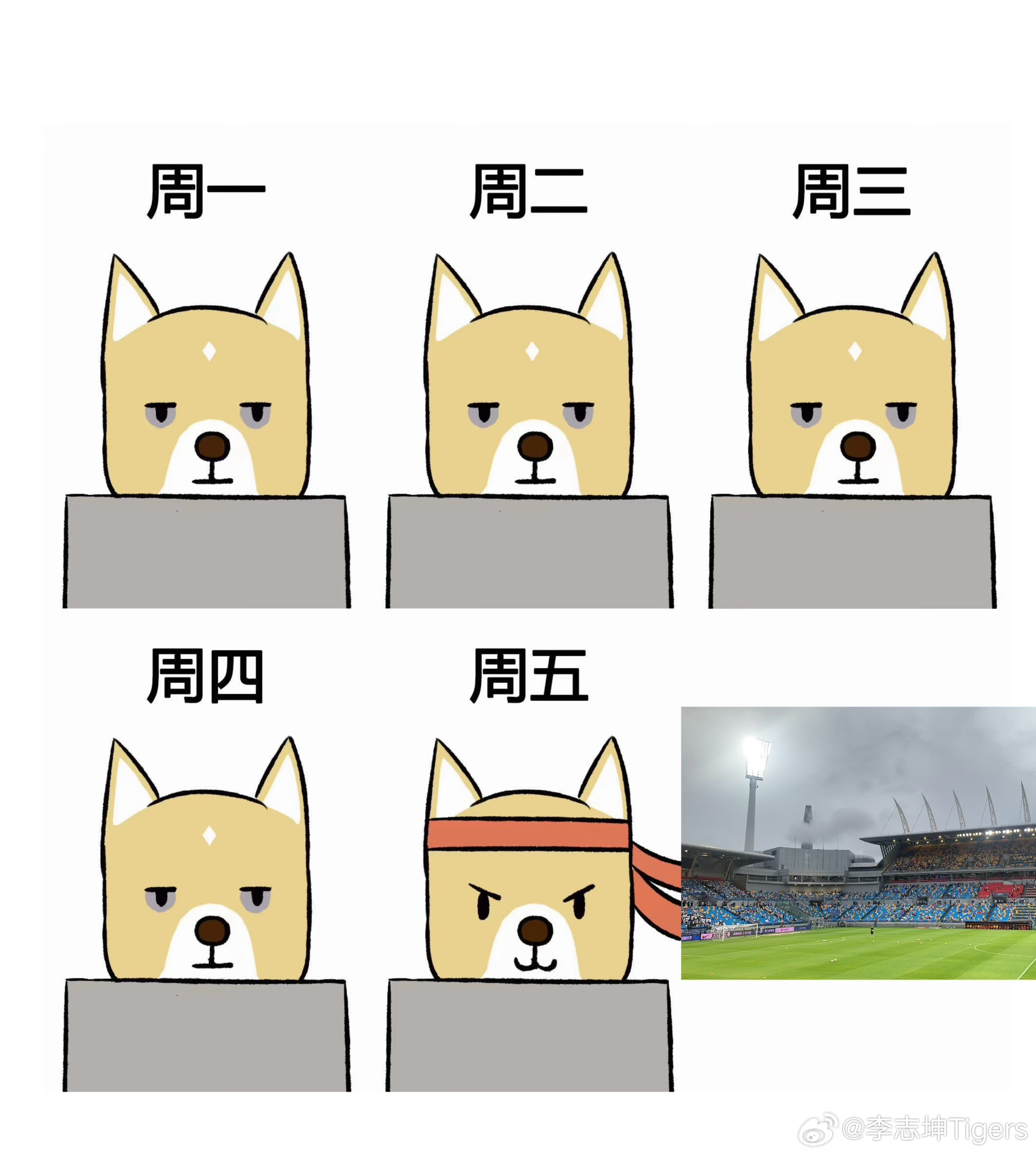 鸽鸽今天进几个？天津津门虎[超话]天津津门虎  ​​​