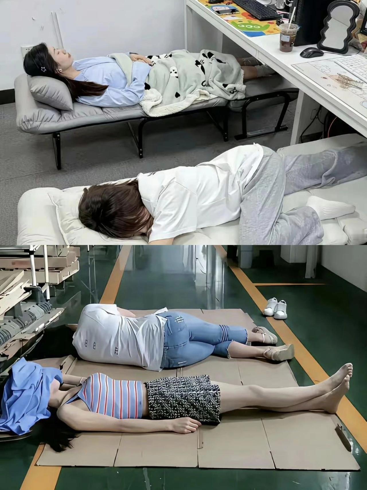 午睡🛌好，下午干活有精神。有人喜欢正面躺着，有人喜欢侧着身子，有人喜欢趴着[呆