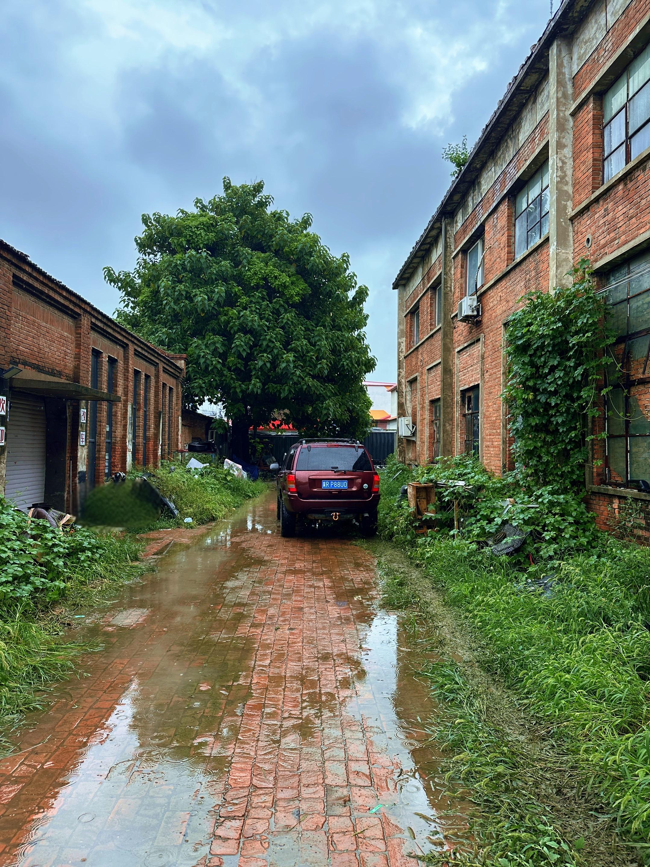 人到中年，把自己重新养一遍，闭口，微笑，健忘，既简单又高级！把人看清不...