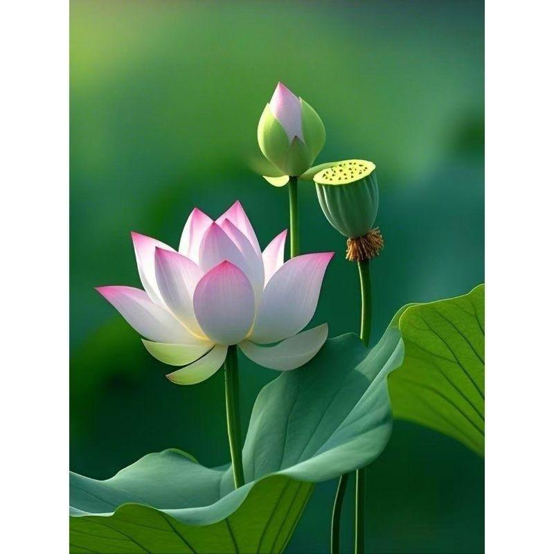 “关闭网络游戏”这话题一出来，四川网友直接炸开了锅！家长群里阿姨们拍桌子点赞：“