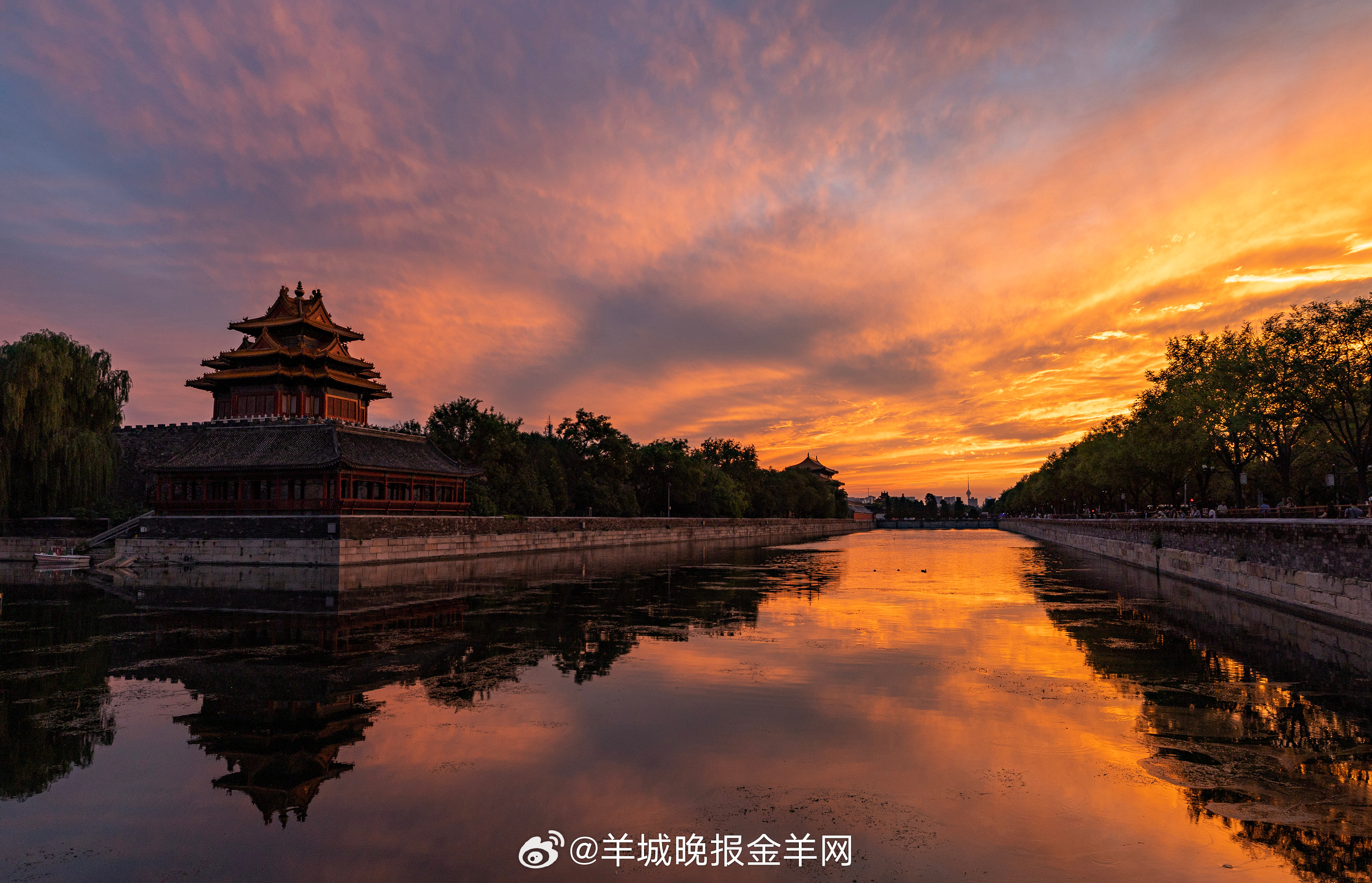 #晚安# 白日的喧嚣渐渐褪去，城市慢慢沉入静谧。泡一杯温饮，听首轻缓的歌，和今天