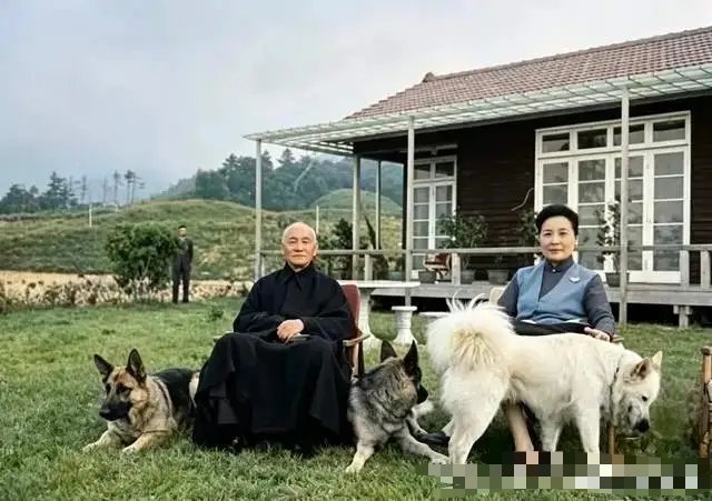 1961年蒋宋夫妇在台岛34座行馆之中的草山行馆与3只爱犬合影 