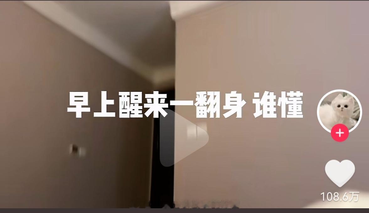 是啊，谁懂，哈哈哈哈哈哈 ​​​