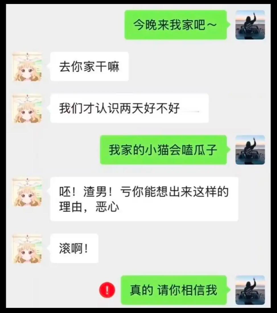 我家的小猫会嗑瓜子 ​​​