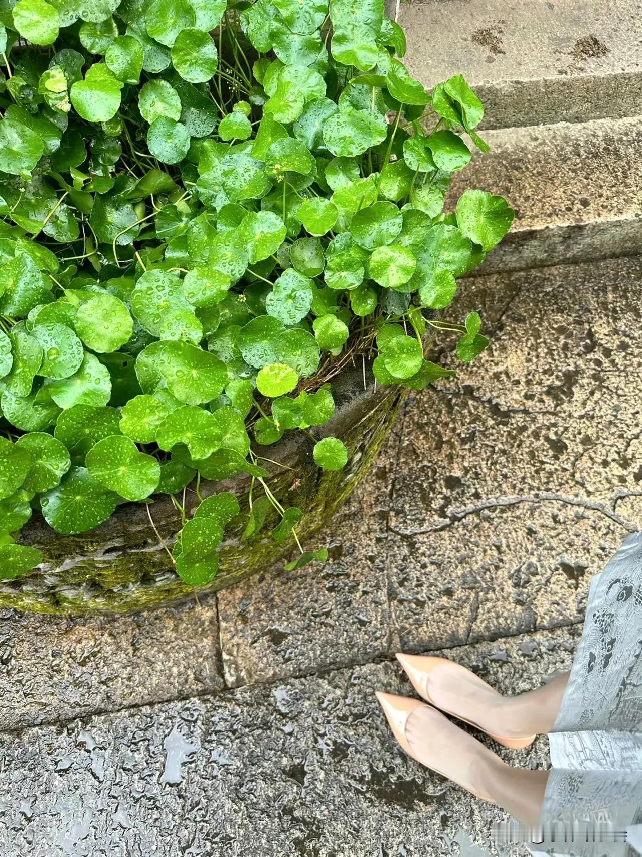 两个人一辆车，总有人要离开#秋日生活打卡季#