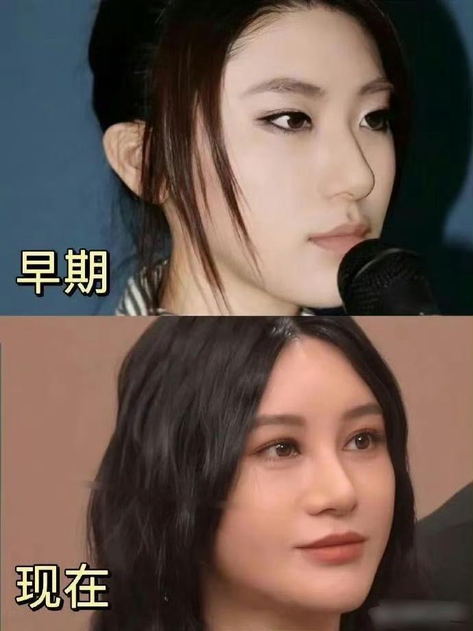 尚雯婕早期姬感这么重真的很好看，干嘛想不开去微调啊 ​