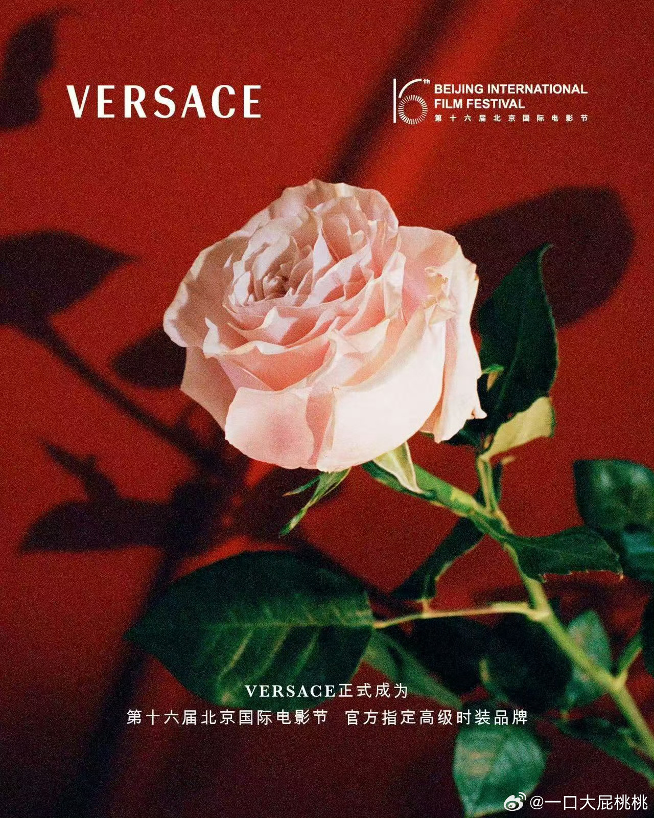 Versace 成为北京国际电影节官方指定高级时装品牌合作伙伴~ 