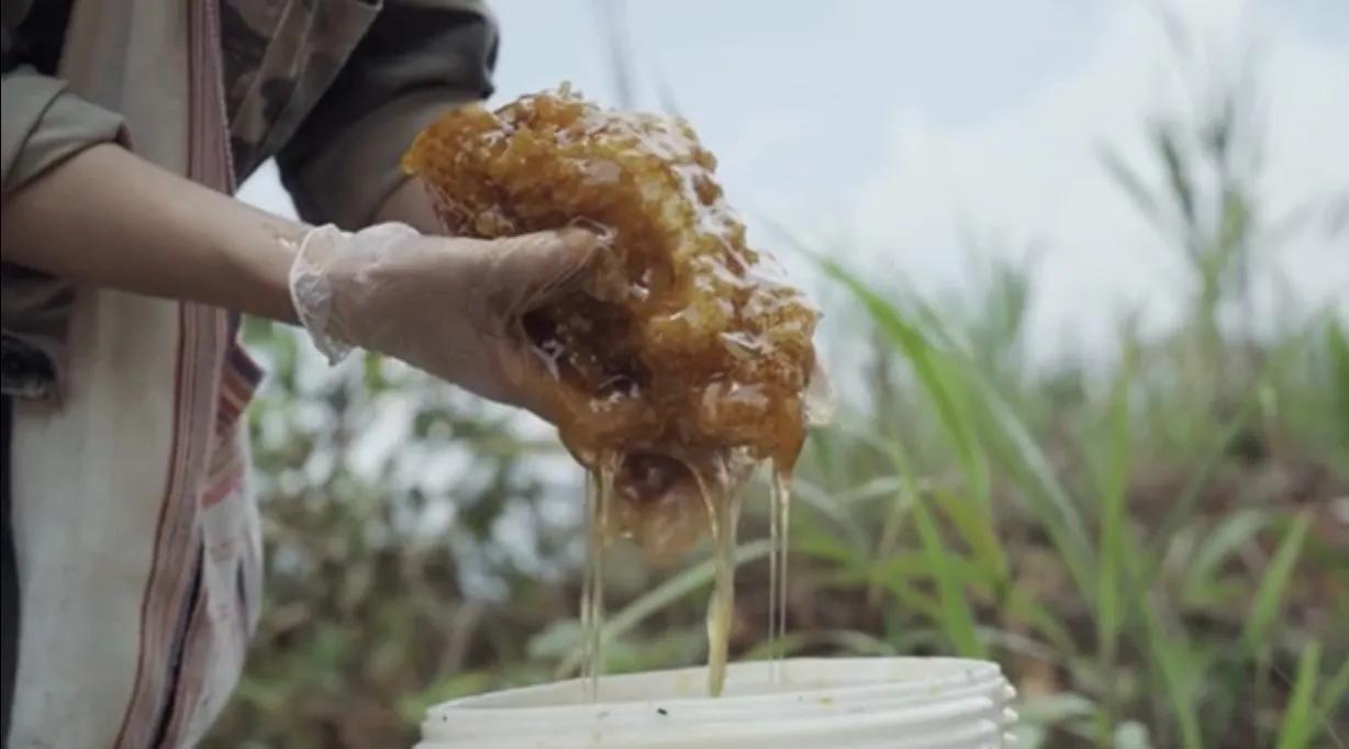 蜂蜜始载于《神农本草经》，以岩蜜、崖蜜、石蜜为上品。岩蜜大多存在于陡峭的高峰之上