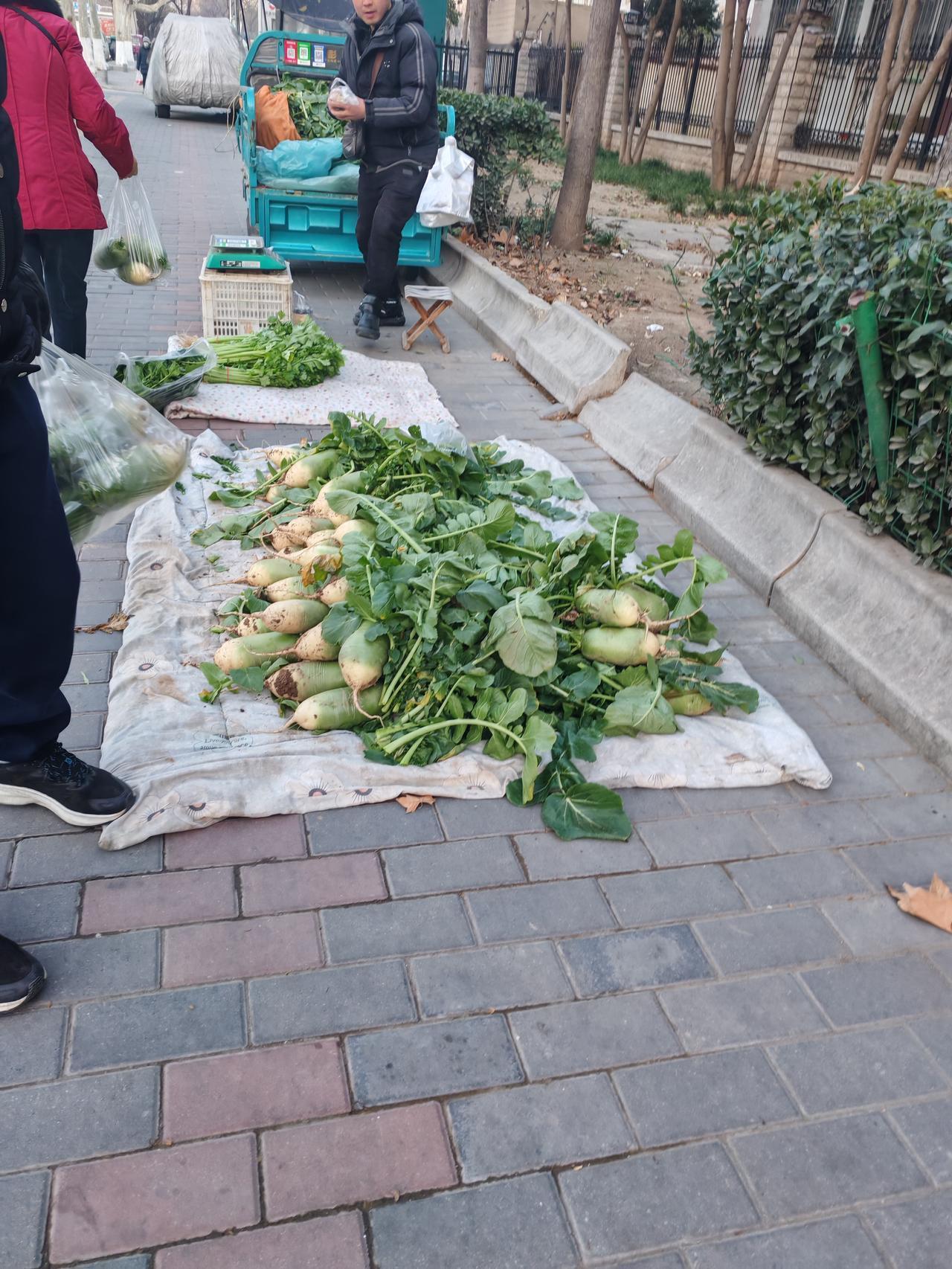 这些才是冬季好菜
1月9日，坐标西安。这是我刚才上班路上抓拍到的几张图片，十年媳