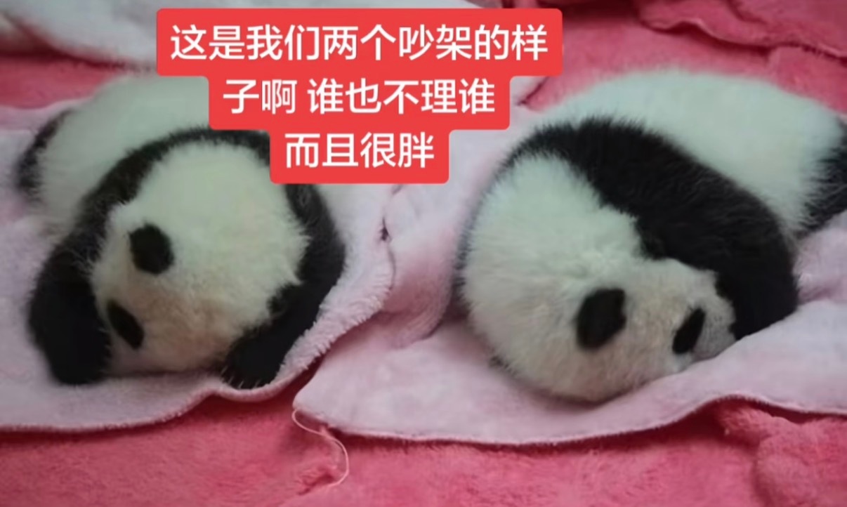 分享图片 